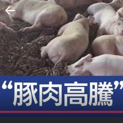 type_43's profile picture. アルトバイエルン公国香薫州