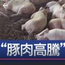 type_43's profile picture. アルトバイエルン公国香薫州