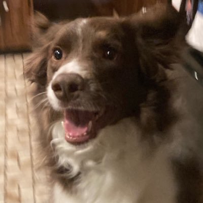 ErinCooney06's profile picture. 🌻