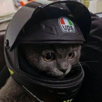 salsaaa (@taercapai) 's Twitter Profile