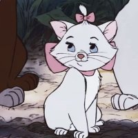 zeu ๐ฏ (@thekittyss) 's Twitter Profile