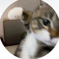 Seonxlix (@lxlixc) 's Twitter Profile