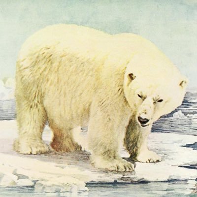 kln_696qb's profile picture. 日常、ときどき、小説 | 創作、版権