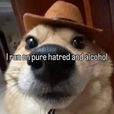 19. anti-social lurker, I’ll never accept follow requests. sorry :(