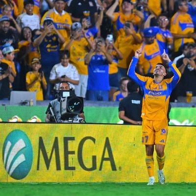 Fiel creyente de Gorriarán. Miembro de grupo de choque Twitter Tigres.