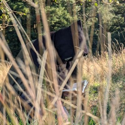 🏴🇸🇱🇩🇪🇻🇦🇦🇹
Huscarl 4 Christ.
ING-Thought
English Nord.
Cunning Folk.
Kennari
Dm spiritual inquiries: dehauntings, sleep paralysis etc..