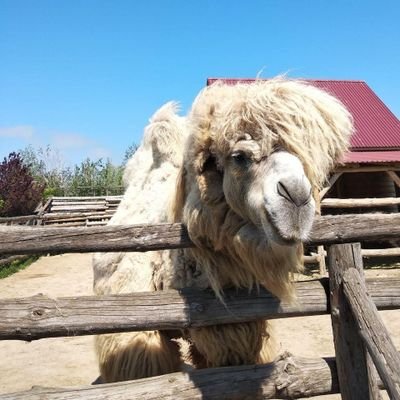 CeredStanislav's profile picture. Faster