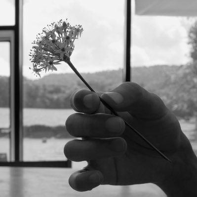 _____jh1OO4's profile picture. 윤정한 👼🏻ෆෆ