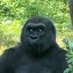 Savannah Ali (@savanna84271) Twitter profile photo Savannah Ali (@savanna84271) Twitter profile photo
