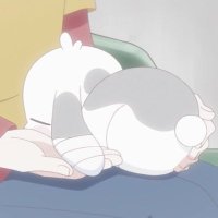 🔆 (@wj5dtmjsun35045) 's Twitter Profile