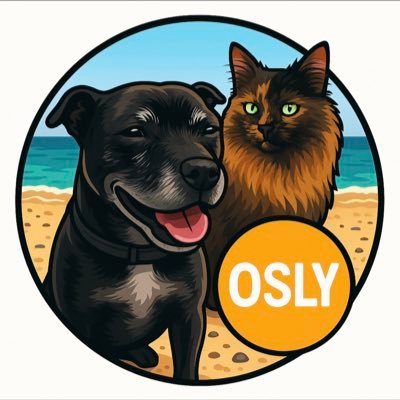 🐶 Oscar guards your bags 🐱 Lily stares into your soul 🚂 No roadmap. No promises. Just vibes. 💎 Meme coin on Solana | $OSLY
