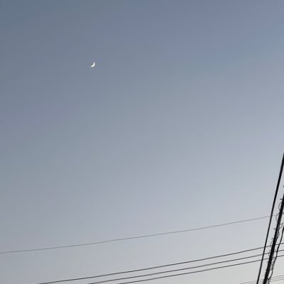 west399048's profile picture. drama club