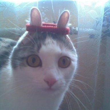 Okane_katsu's profile picture. 