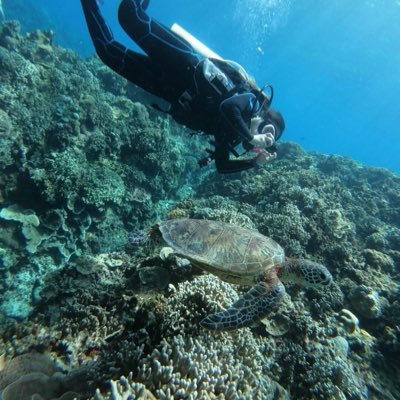 ht515l's profile picture. 既浪漫，但也很危險