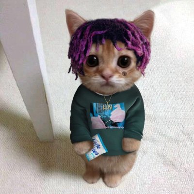 R2xcene's profile picture. 