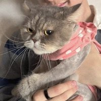 ayy (@cewecakepgd2nya) 's Twitter Profile