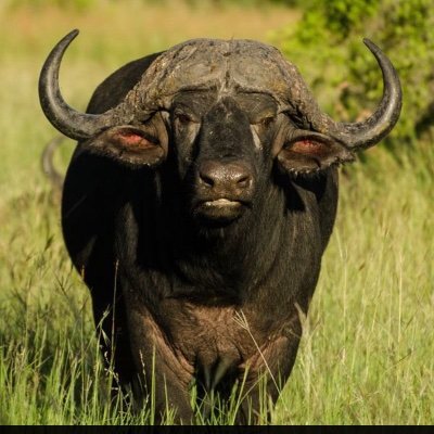 DIPSEATATE's profile picture. 