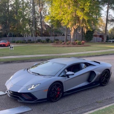 paypig458's profile picture. 