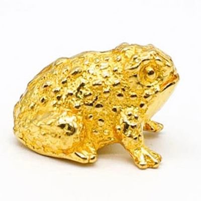 mumyeong0's profile picture. 친일 매국노 윤가 놈과 천한 작부 년에게 환장하는 씹새끼들은 왜놈 나라로 꺼지든지 아니면 일평생 두 연놈의 시다바리나 해라.