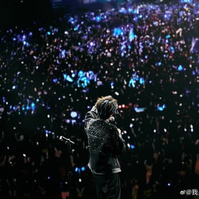 MeowXXcc's profile picture. Cat lover