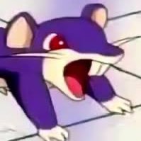 rattata515's profile picture. 