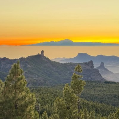 Espcanario98's profile picture. 🇮🇨🍌🌴🏝️