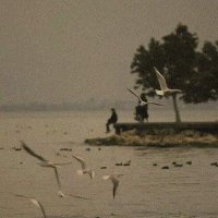 . (@chris101010100) 's Twitter Profile