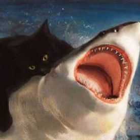 do not judge me. I will bite you with truth if I found you.🦈😼
