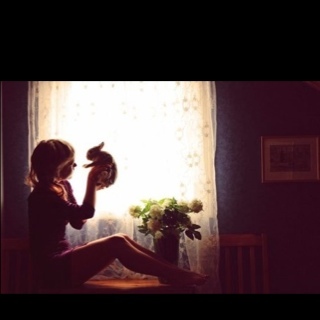 StrangeReality_'s profile picture. I must find the White Rabbit. Have you seen him?  / I'm not mad... My reality's just different from yours. Along with my rabbit obsession. ( #OUAT RP )