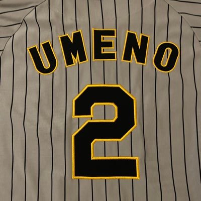 たのしい阪神生活　梅野・テルが特に好きです　どなたもよろしくお願いします