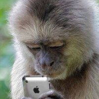 pytras (@pytrasbabapro) 's Twitter Profile