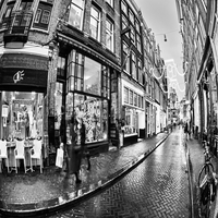 OWnbbBlrJC28694's profile picture. ROI重視の、勇敢な性格で、バリュー投資、M&A分析などに興味を持っています。現在は副業でアート活動です。