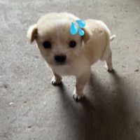 💧（滴滴。。。） (@sxot66) 's Twitter Profile Photo