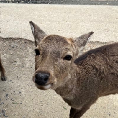 ykNFZP8tpqKHPyt's profile picture. 見る専/無言フォロー失礼します