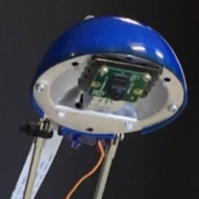 LM Profile