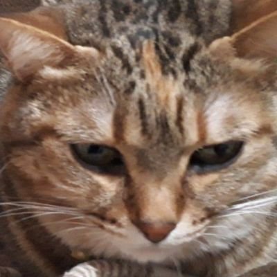 iseebi0804's profile picture. Minecraft builder
#波鯖　#ライン鯖　#ほっぺ鯖