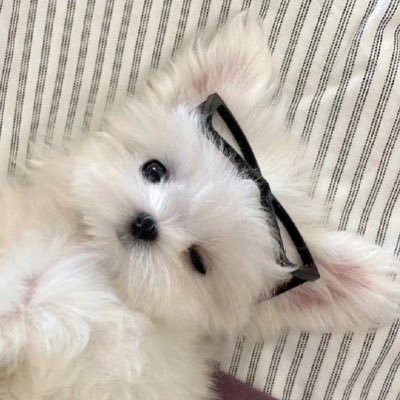 함께 할 수 있음에 너무 감사해◡̈ #신예찬