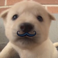 𖤐 (@oiio_gg) 's Twitter Profile
