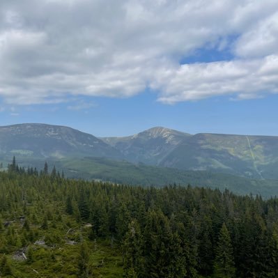 PavukovyClovek's profile picture. 