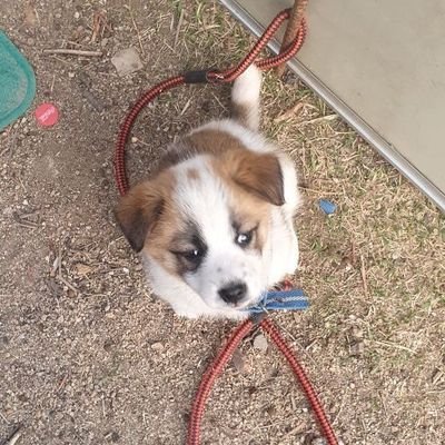 platinumpen1601's profile picture. 글을 써나가는 용기, 세상과 연결되는 감각.
나를 지탱할 지혜와 경험을 견고하게.