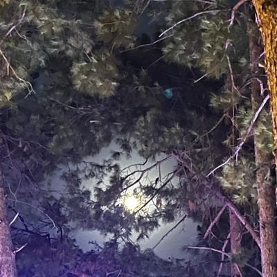 asdfgh0778's profile picture. 