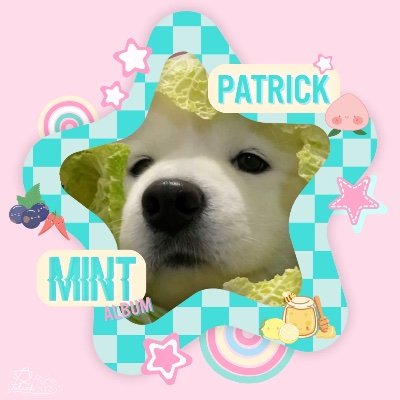 ⛅️🍀🐋🐻 | #Patrick 🐰💖🤏🏻| #Zhoukeyu 🧑🏻🚀 PP6D | #INTO1 💜💙 | (🐻🐻🐻) ✨ 🌥The sun will rise and we'll try again🌤✨