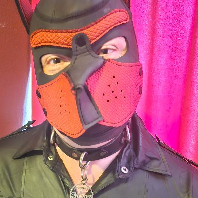 Proudly Owned by Madame Caramel
Read my blog: https://t.co/5uqeKZkeyI