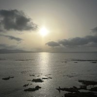 -🍀-👀-🍀- (@sgdynamod) 's Twitter Profile Photo