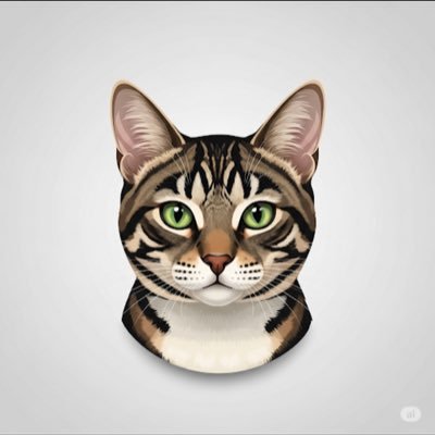 kotarou_fkg's profile picture. 
