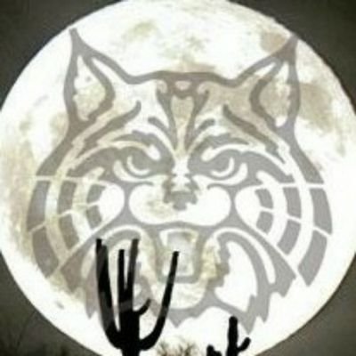 bigomavil's profile picture. It's not about me, it's about we!
