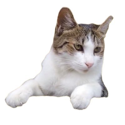 🧷さくらねこ (@nagashiipo) / Posts / X