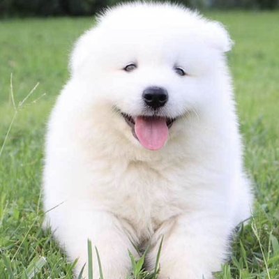 UnderPuppetM's profile picture. 