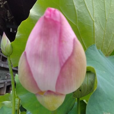 常に、☀人の幸せを願いながら、バランスを保ち、一瞬一瞬を大切☀に、🌕️一生懸命何事にも努力🌕️して、自己研鑽に励み、成長していく✨️
そして、成長して勝ち取った豊かさで、周囲に豊かさを与え続け、更に世の中を明るく、元気に、豊かにしていく✨️