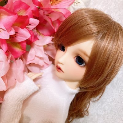 MikotonoDOLL's profile picture. favolite🖤Doll/handmade/Sealing Stanp/collage/Music/cafe/Vanguard etc…